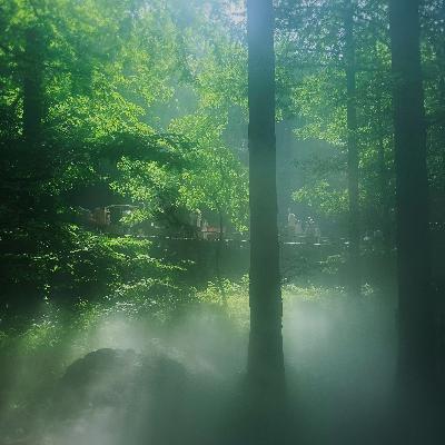 从古人智慧到现代生活,节气故事激发你的内在动力 从古人智慧到现代生活,节气故事激发你的内在动力