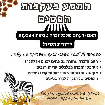 המסע בעקבות הפסים