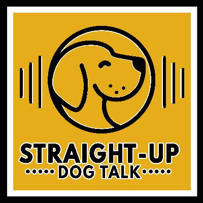 What Prison Dog Programs Can Teach Us About Healing, Structure & Hope