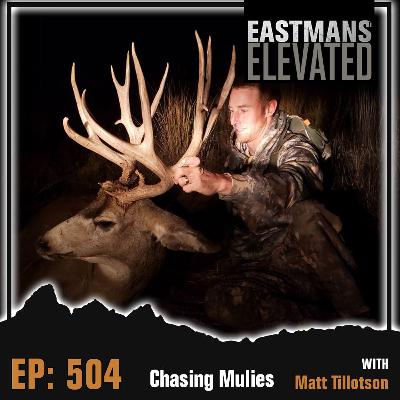 Episode 504:  Chasing Mulies With Matt Tillotson