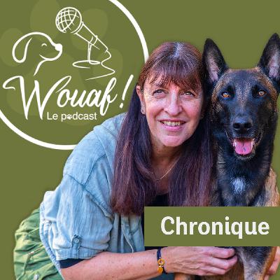 Episode #26 - Puis nos chiens vieillissent