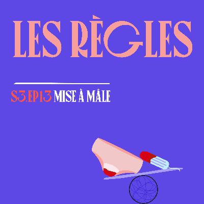 S03E13 - Les règles