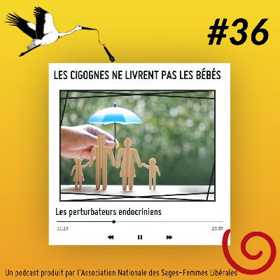 Les perturbateurs endocriniens
