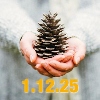 Fasst neue Hoffnung! – Adventsimpuls zum 1. Dezember 2025