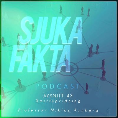 Myter om smittspridning - Professor Niklas Arnberg