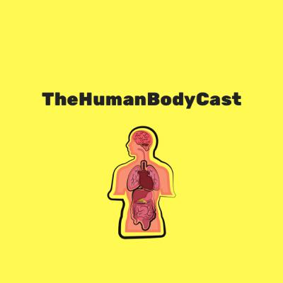 TheHumanBodyCast
