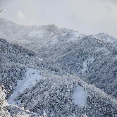 6. Rauhnacht: Juni 6. Rauhnacht: Juni