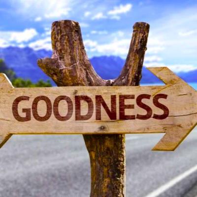 Godly Goodness- Ekev- The Parshah On Fire