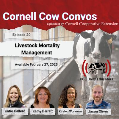 Cornell Cow Convos E20 Livestock Mortality Management on Dairy Farms Cornell Cow Convos E20 Livestock Mortality Management on Dairy Farms