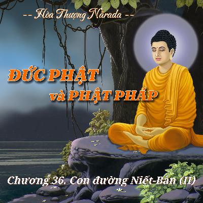 Đức Phật và Phật Pháp | Chương 36. Con đường Níp-Bàn (Niết-Bàn) (II) - Hòa Thượng Nārada