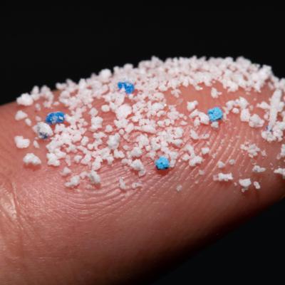 Microplastics - Big or Small Deal?
