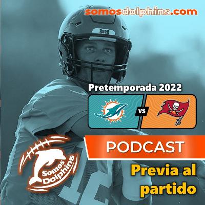 113. Pretemporada 2022 - Previa a Miami Dolphins en Tampa Bay Buccaneers