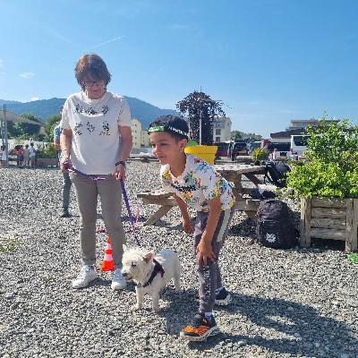 Comment éviter de se faire mordre par un chien?