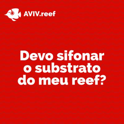 Você sabe os benefícios de sifonar seu aquário?