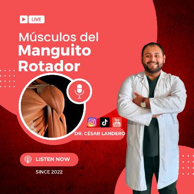EP14T2 Músculos del Manguito Rotador