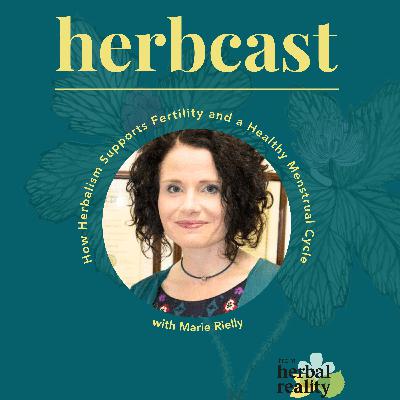 How Herbalism Supports Fertility and a Healthy Menstrual Cycle