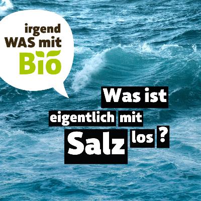 68 - Was ist eigentlich mit Salz los?