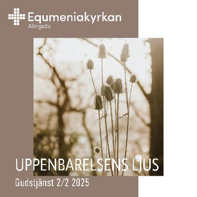 250202 - Uppenbarelsens ljus - Noomie Hammar