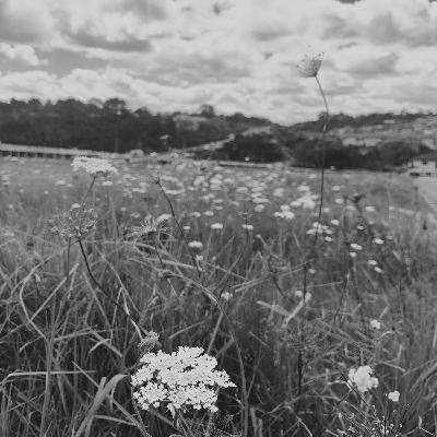 王抒今,祝你生日快乐 ·桒悳SOUND·第十季·No.77 王抒今,祝你生日快乐 ·桒悳SOUND·第十季·No.77