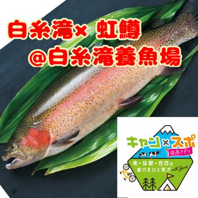 #06 白糸滝×虹鱒@白糸滝養魚場 #06 白糸滝×虹鱒@白糸滝養魚場