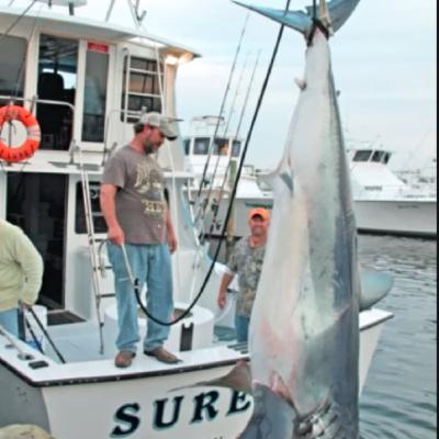 Fishing Report (04.06.21): Cobia, maybe a mako shark, beach fishing and all things warming up