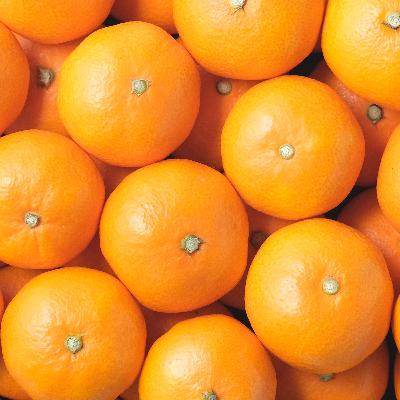 #179 楽屋土産な野菜果物