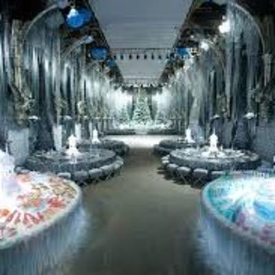 Darco Malfoy and the Yule Ball