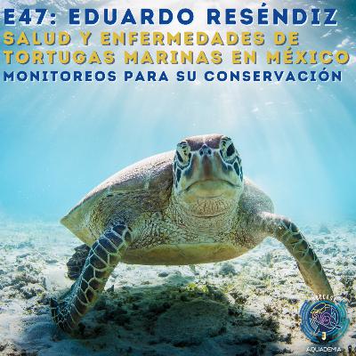 E47: Eduardo Reséndiz. Salud y enfermedades de tortugas marinas en México: monitoreos para su conservación E47: Eduardo Reséndiz. Salud y enfermedades de tortugas marinas en México: monitoreos para su conservación