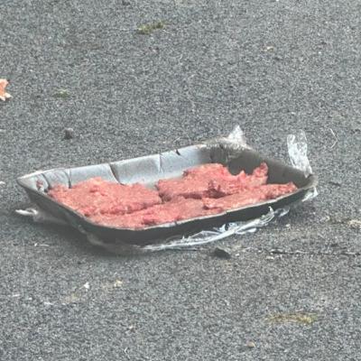 Episode 99 - Summertime Travels, Concerts, Dungeon Synth, and a Curious Discovery