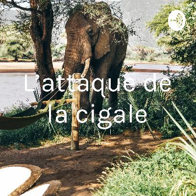 L’attaque de la cigale