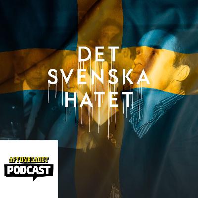 Del 28 Riksdagslivet är en fest – SD i maktens korridorer