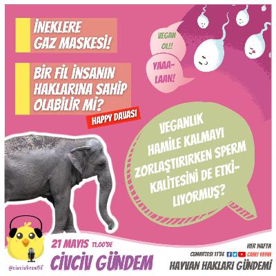 Bölüm 21 - 21 Mayıs 2022 | Haftanın Hayvan Hakları Gündemi