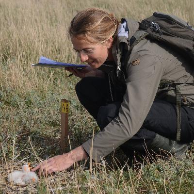 De lepelaar als pleegkind. Met Tamar Lok De lepelaar als pleegkind. Met Tamar Lok
