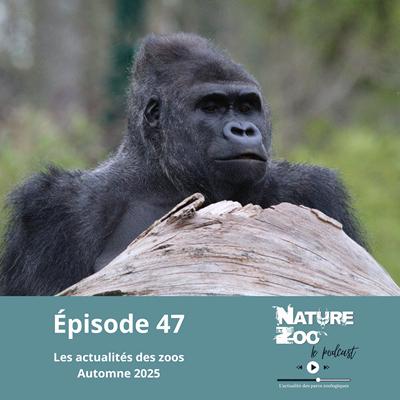 Épisode 47 (ACTU) - Les actualités de l'automne 2025
