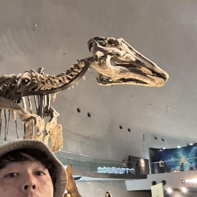 福井にひとりで来たら帰れなくなった話 福井にひとりで来たら帰れなくなった話