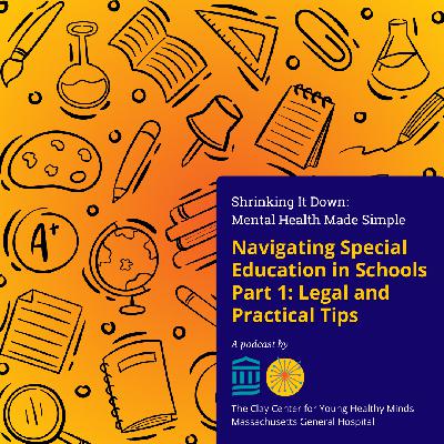 Navigating Special Education in Schools Part 1:  Legal and Practical Tips