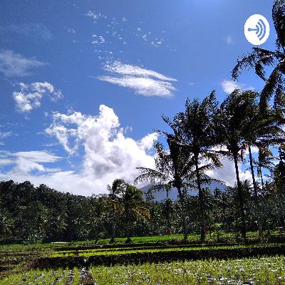 ngaji ekologi