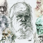 Evidências da Evolução