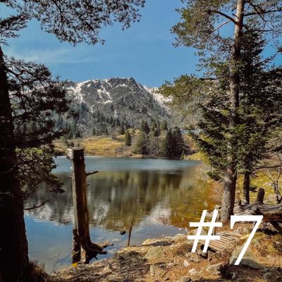 #7 - La thérapie par la marche