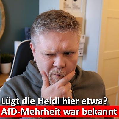 #393: Reichinnek bei ntv entlarvt?