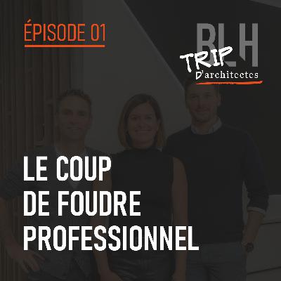 Épisode 01 - Le coup de foudre professionnel Épisode 01 - Le coup de foudre professionnel