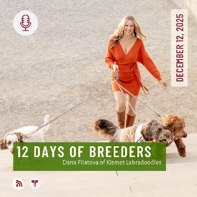 12 Days of Breeders 2025 - #12 - Dana Filatova of Kismet Labradoodles 12 Days of Breeders 2025 - #12 - Dana Filatova of Kismet Labradoodles