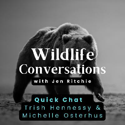 WC Quick Chat w/Trish Hennessy & Michelle Osterhus WC Quick Chat w/Trish Hennessy & Michelle Osterhus