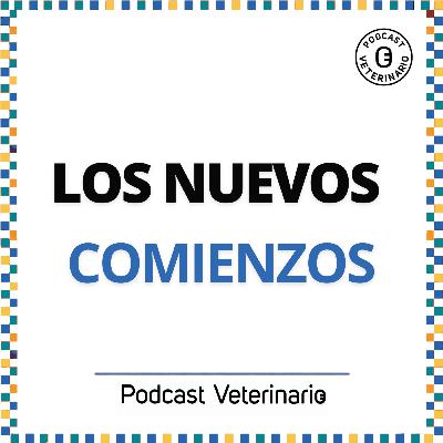 Los nuevos comienzos