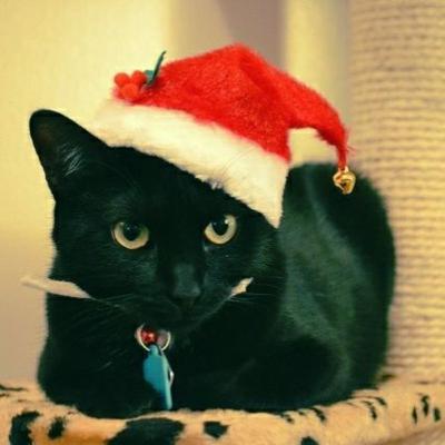 Meowrry Kittymas