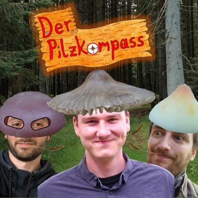 33 verborgene Schönheiten: Die Helmlinge