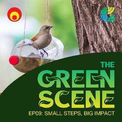 Make an impact - without going full eco-warrior!