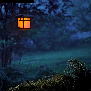 Episode 39 - Stories for the Waning Year