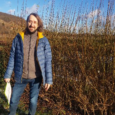 #13 Grundlagen der Gartengestaltung