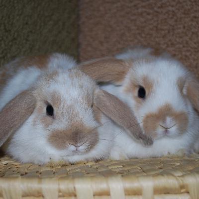 Introducing 2 Amazing Kids